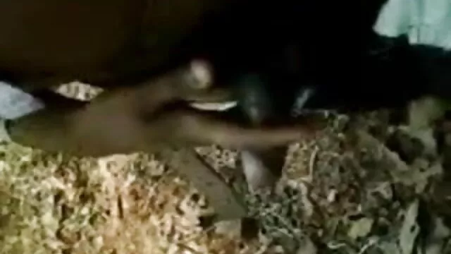 Annabelle કાર્ટર સાથે સની લિયોન સેકસી બીપી વીડીયો shaved fucks ગાંડ