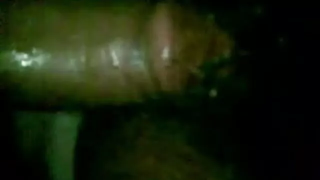 Sociable છોકરી fucks પ્રકૃતિ તેના બોયફ્રેન્ડ સેકસી વીડીયો હિન્દી સાથે