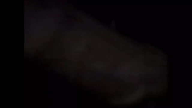 છોકરી masturbates, sucks અને વાપરવા માટે ચહેરા એચડી સેકસી વીડીયા પર