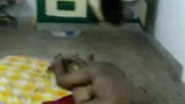 આ ડૉક્ટર સાથે fucks સેકસી પીચર વીડીયો એક કાળો માણસ હોસ્પિટલમાં ઓફિસ માં Brazzers porn