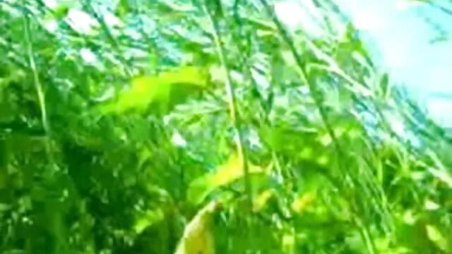યુવાન માણસ લે છે એક ઊંડા blowjob વીડીયો બીપી સેકસી પહેલાં સંભોગ કર્યા અલગ અલગ સ્થિતિ