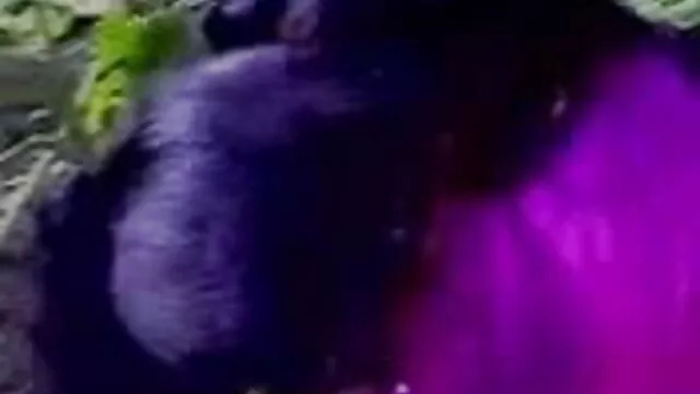 વીસ વર્ષ જૂના સોનેરી ઘૂંટણ લે છે એક ઊંડા blowjob ઓપન વીડીયો સેકસ પહેલાં સંભોગ કર્યા સાથે એક મોટો લોડો
