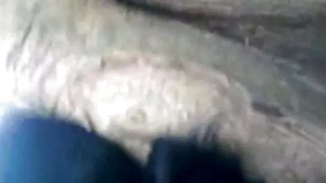 વિશાળ સેકસી બીપી વીડીયો એચડી ટોટી ઉદાસી